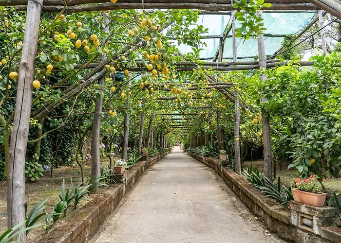 Villa Romantic Garden *