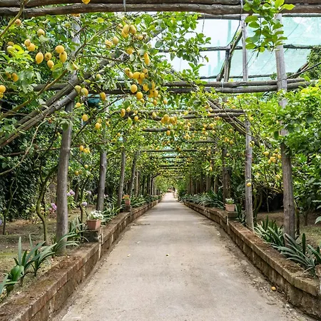 Вілла Romantic Garden *